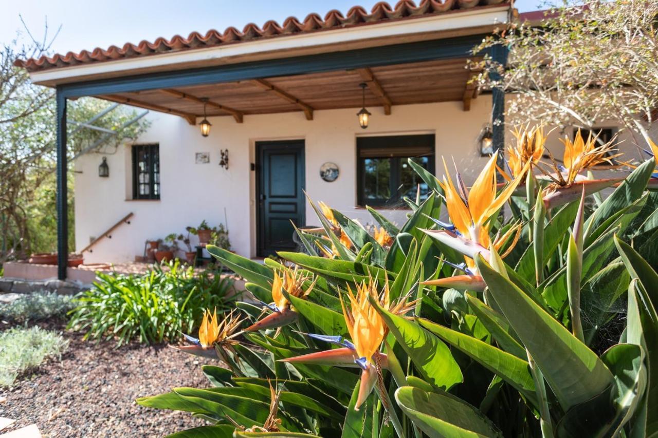 Live La Laguna Casita Vieja ภายนอก รูปภาพ