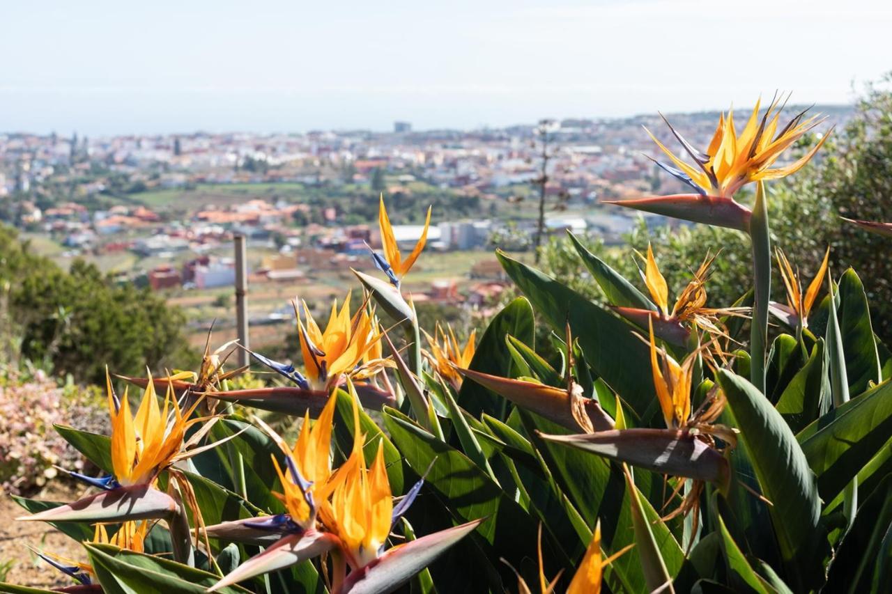 Live La Laguna Casita Vieja ภายนอก รูปภาพ